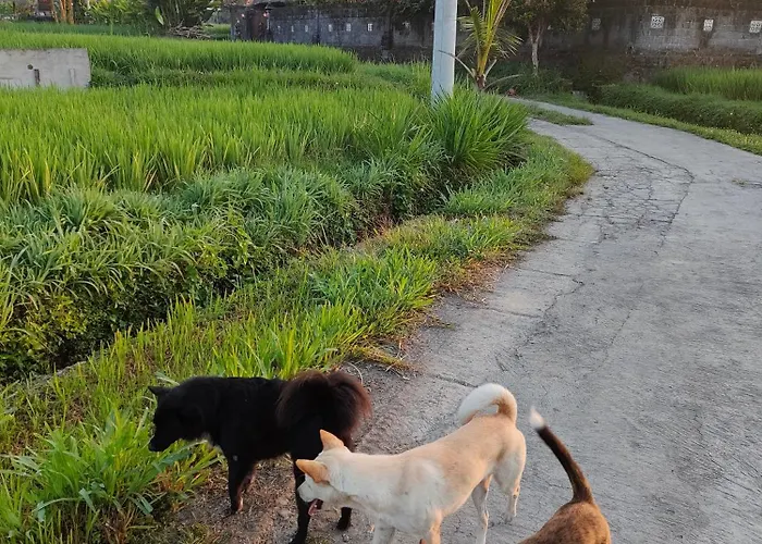 Kayangan *
