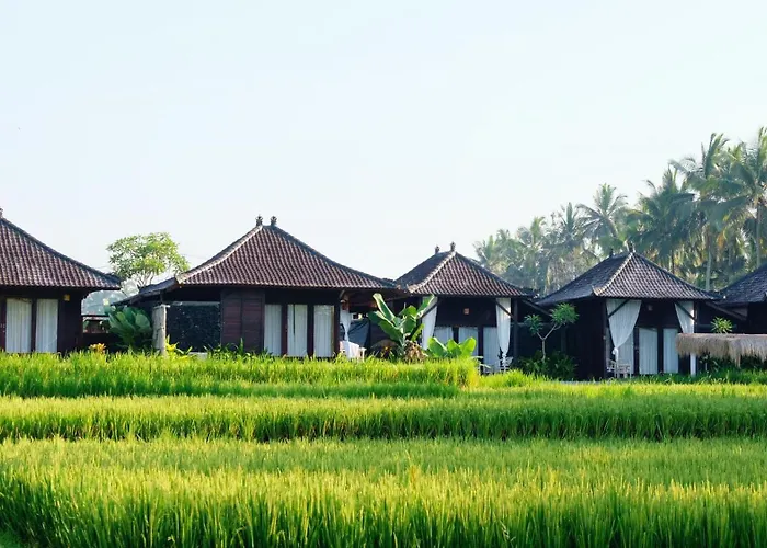 Kayangan *
